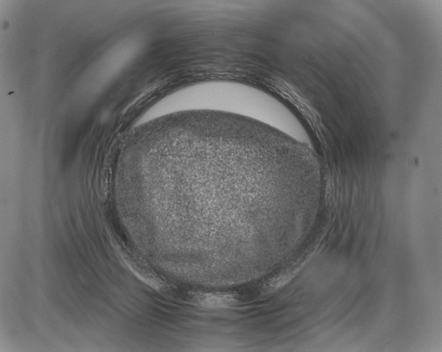 X0000085050165200703191308