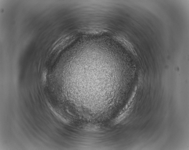 X0000085050166200703191308