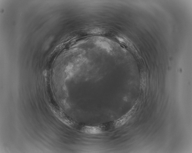 X0000085050167200703191308