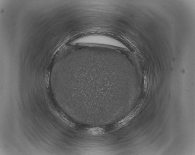 X0000085050168200703191308