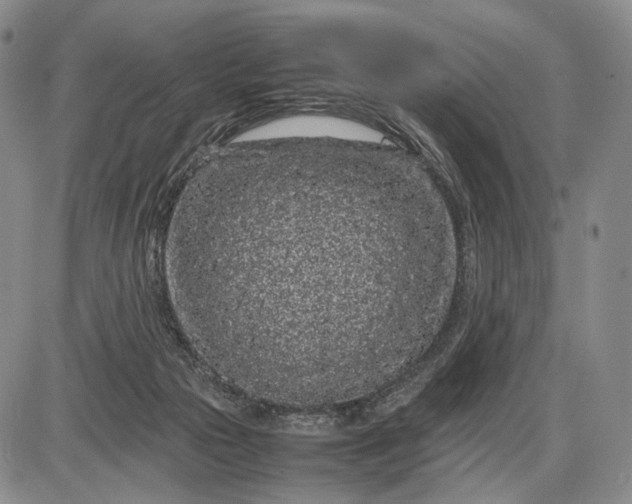 X0000085050169200703191308