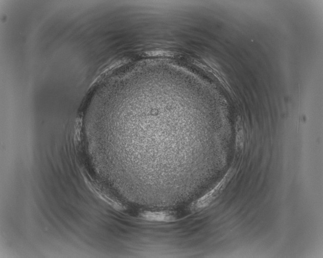 X0000085050171200703191308