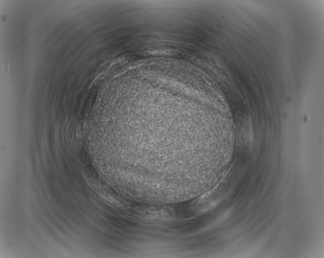 X0000085050175200703191308