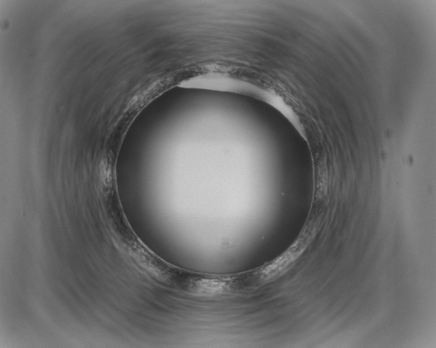 X0000085050176200703191308