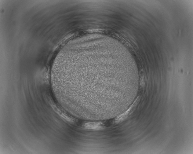 X0000085050179200703191308