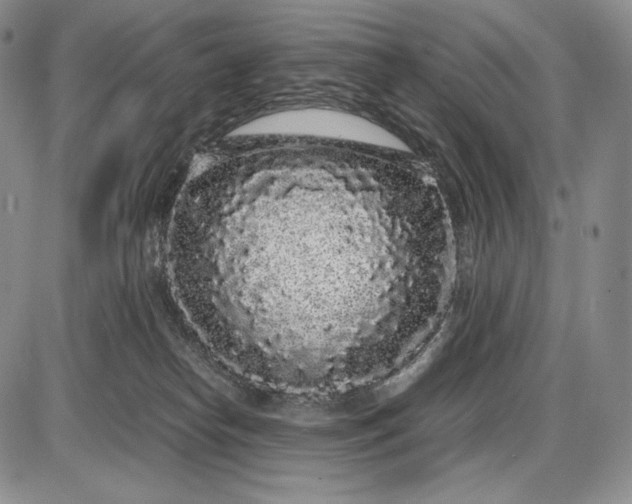 X0000085050182200703191308