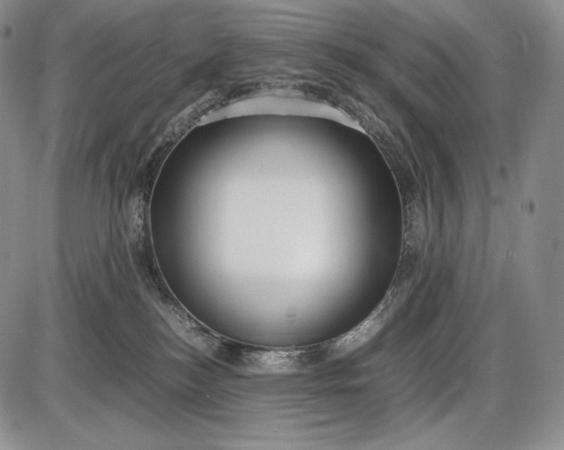 X0000085050184200703191308