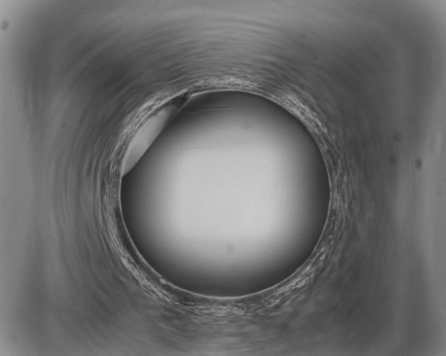 X0000085050193200703191308