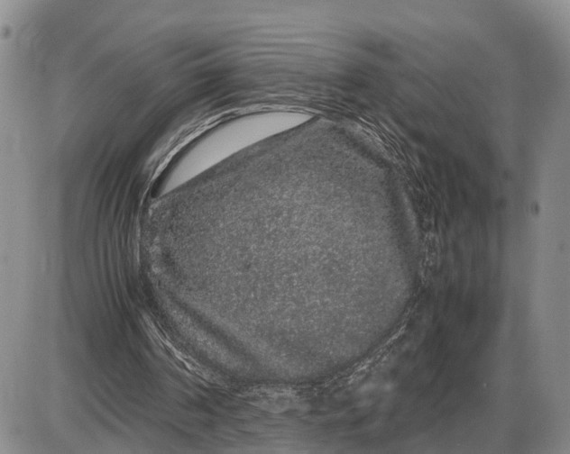 X0000085050194200703191308