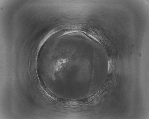 X0000085050195200703191307
