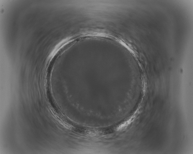 X0000085050199200703191307