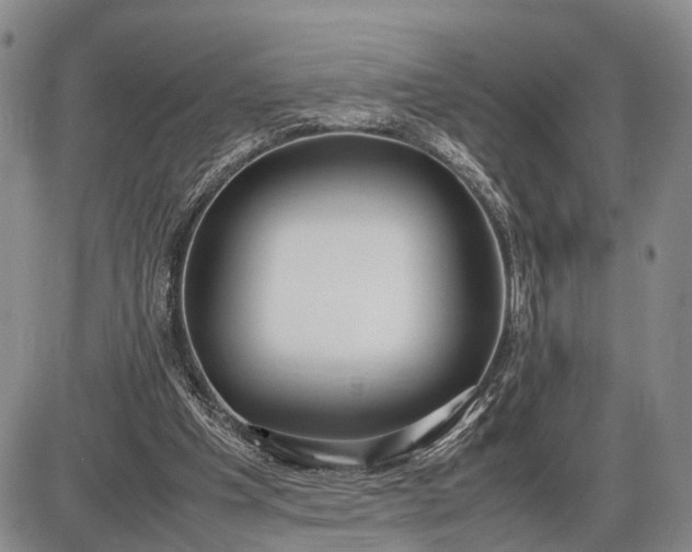 X0000085050201200703191307
