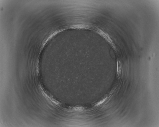 X0000085050204200703191307