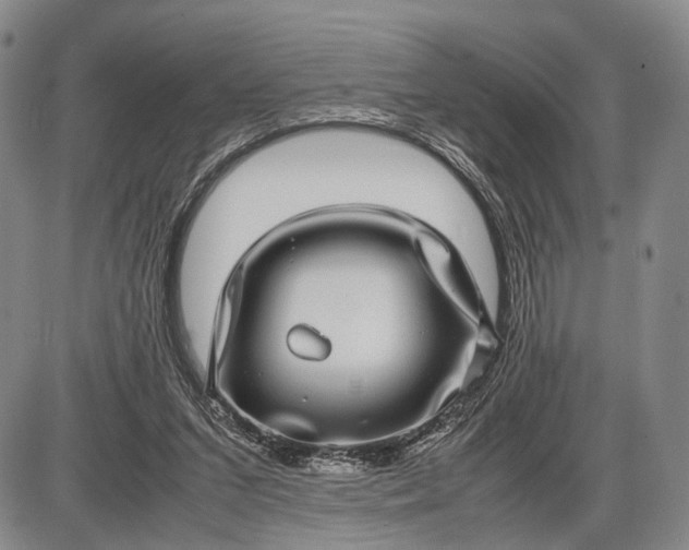 X0000085050207200703191307