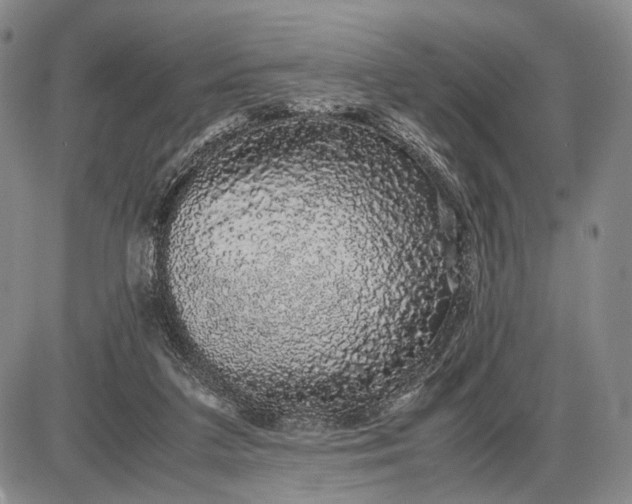 X0000085050211200703191307