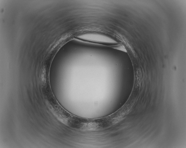 X0000085050212200703191307