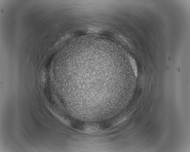 X0000085050215200703191307