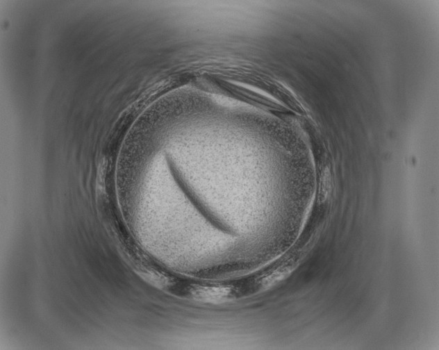 X0000085050217200703191307