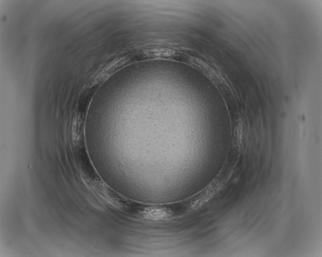X0000085050218200703191307