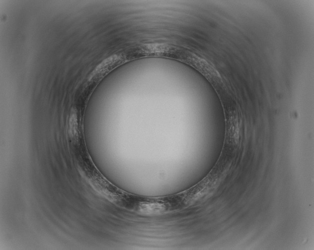 X0000085050220200703191307