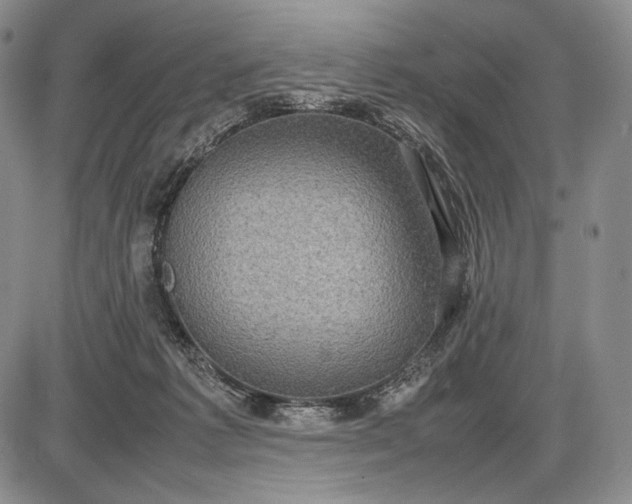 X0000085050221200703191307
