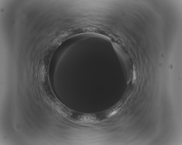 X0000085050223200703191307