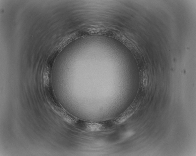 X0000085050226200703191307