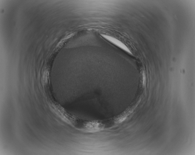 X0000085050227200703191307