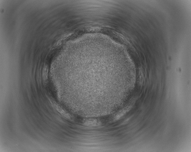 X0000085050230200703191307