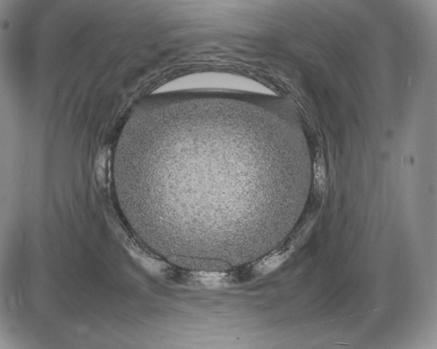 X0000085050233200703191307