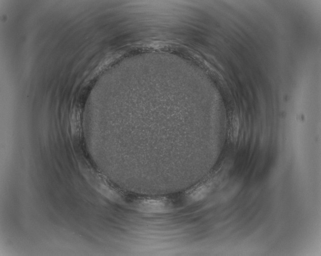 X0000085050236200703191307