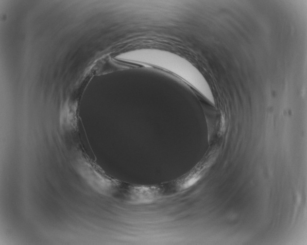 X0000085050239200703191307