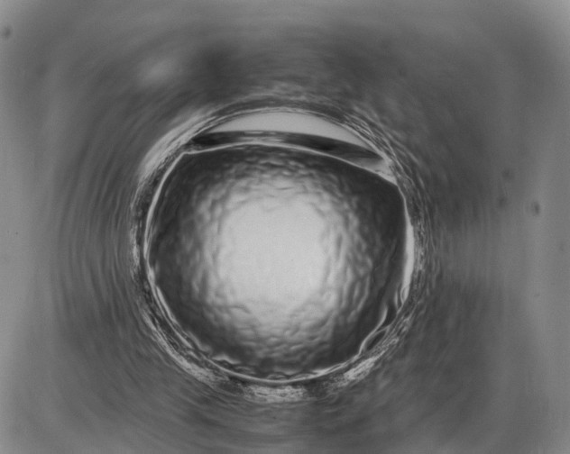 X0000085050245200703191306