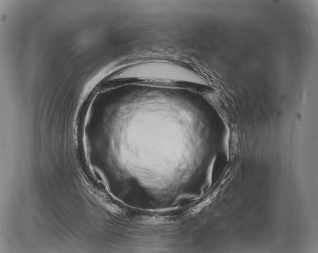 X0000085050246200703191306
