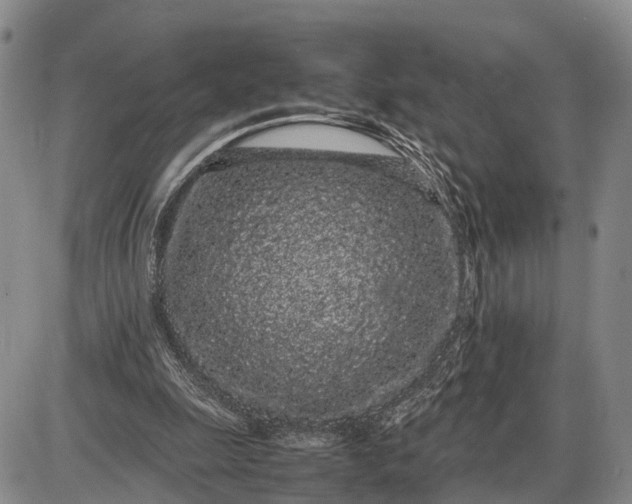 X0000085050247200703191306