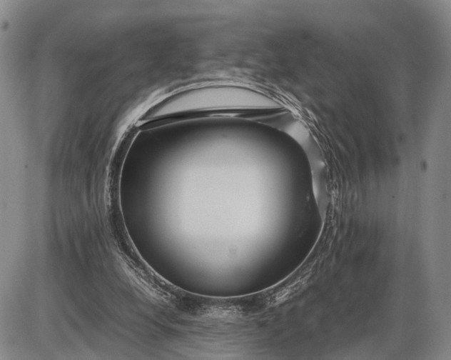 X0000085050248200703191306