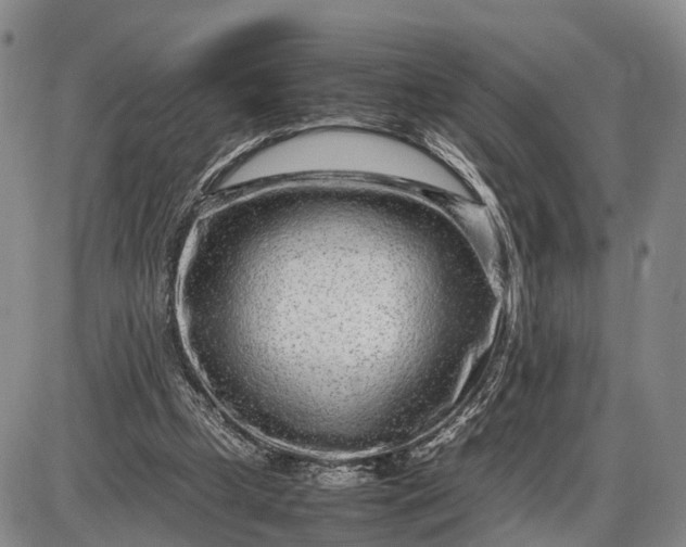 X0000085050249200703191306