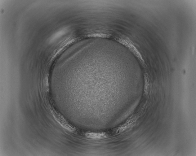 X0000085050251200703191306