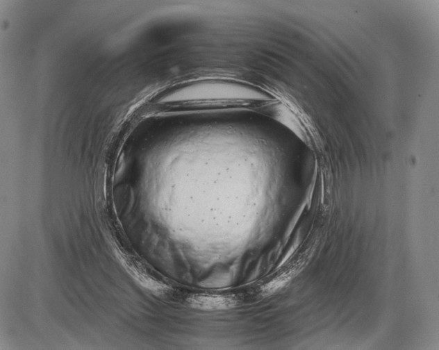 X0000085050253200703191306