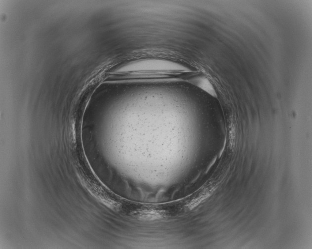 X0000085050254200703191306