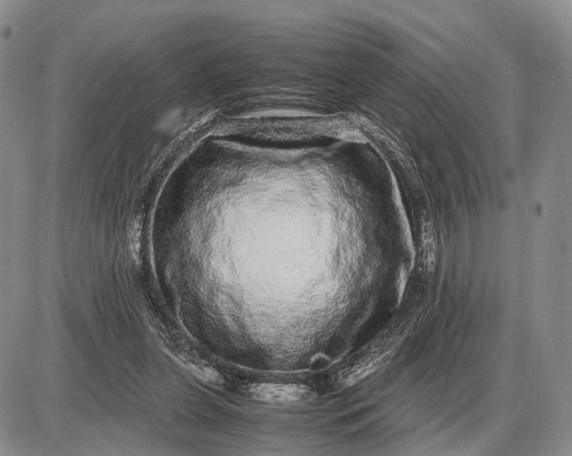 X0000085050255200703191306