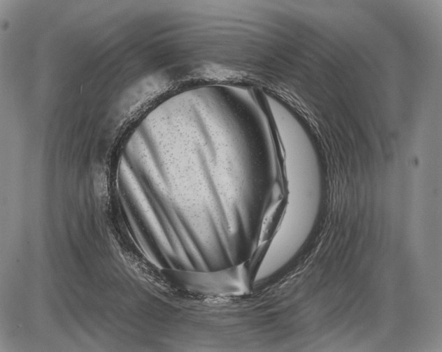 X0000085050256200703191306