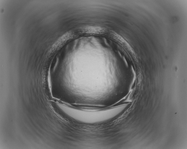 X0000085050257200703191306