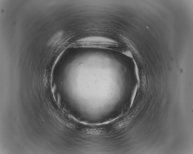 X0000085050259200703191306