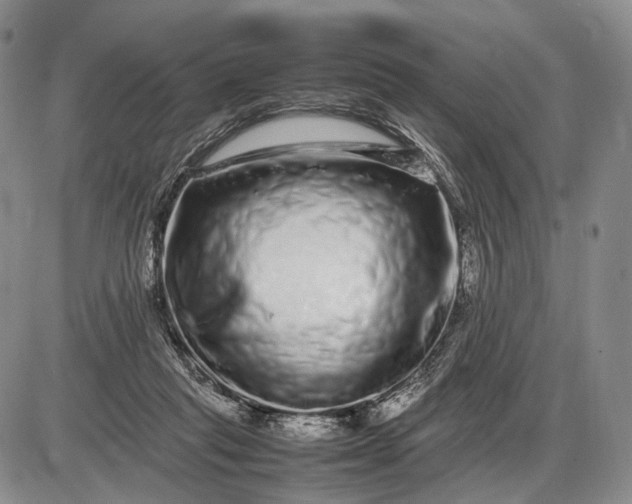 X0000085050261200703191306