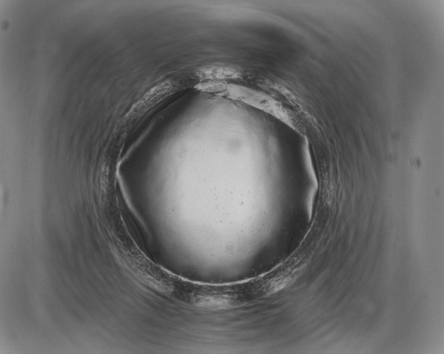 X0000085050263200703191306