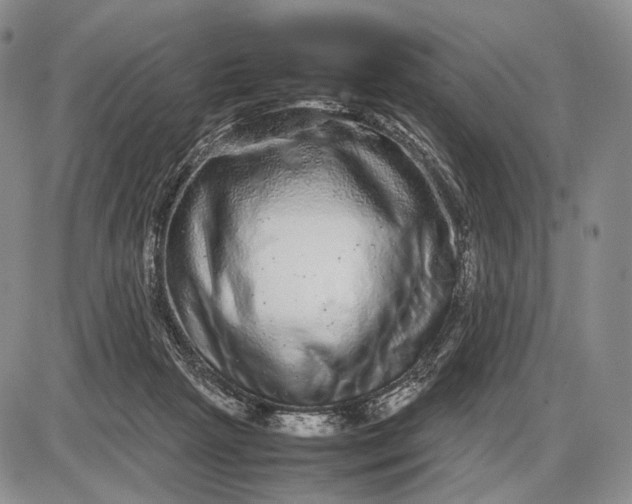 X0000085050265200703191306