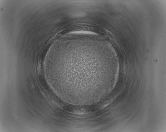 X0000085050267200703191306