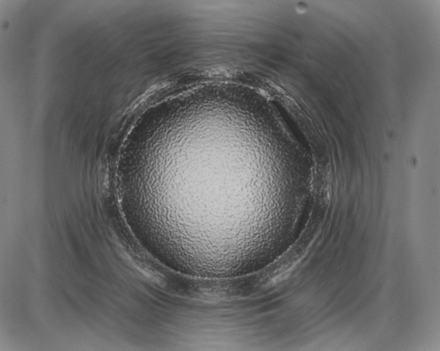 X0000085050268200703191306