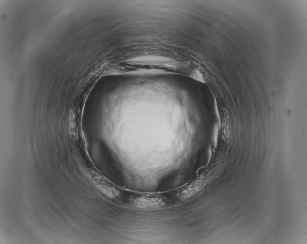 X0000085050270200703191306